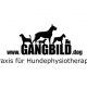 GANGBILD - Hundephysiotherapie