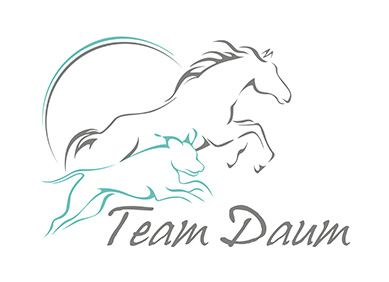 Team Daum Lauda
