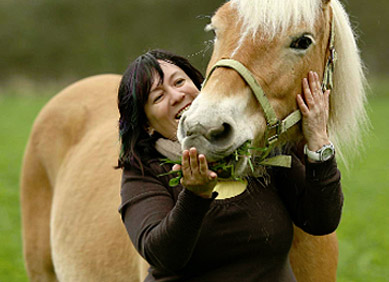 Tierphysiotherapie für Pferde - Peggy Meyer in Weberstedt
