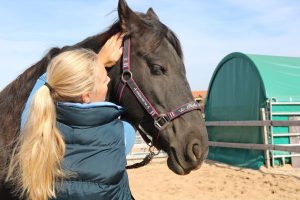 Tierrphysiotherapie für Hunde, Katzen und Pferde in Memmelsdorf