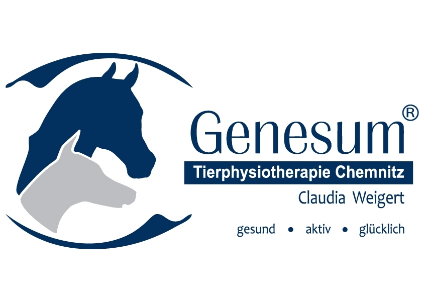 Tierphysiotherapie für Hunde, Pferde und Katzen in Chemnitz