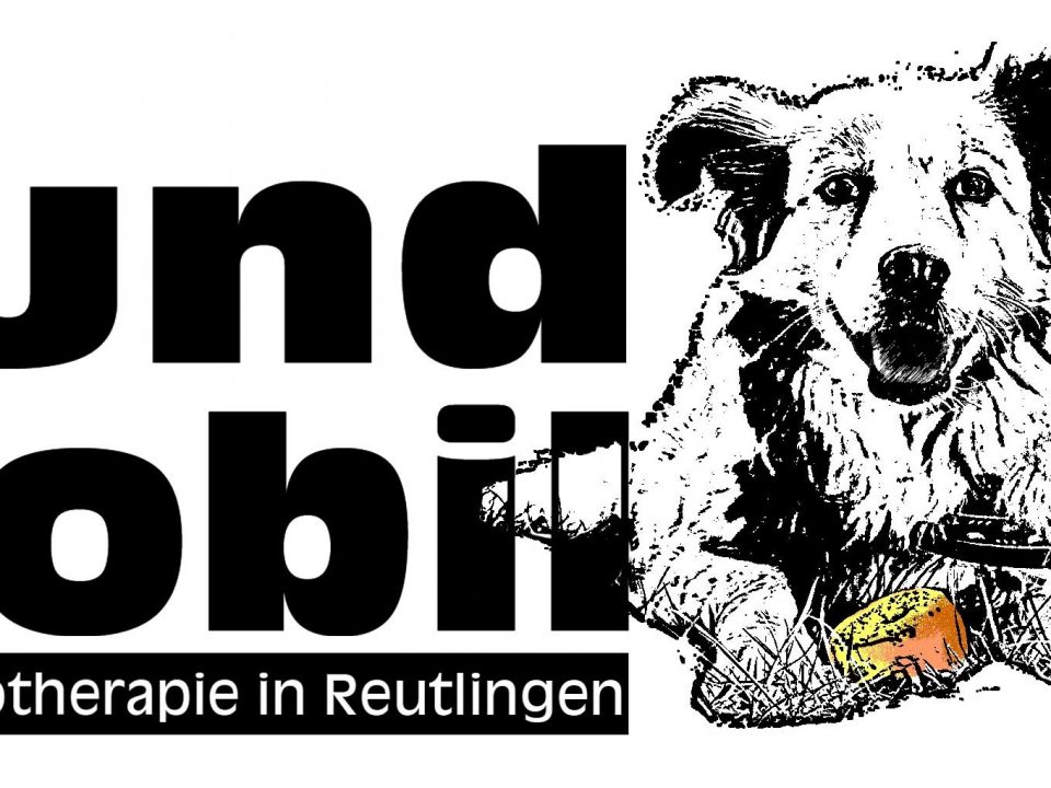 Hund mobil Hundephysiotherapie in Reutlingen