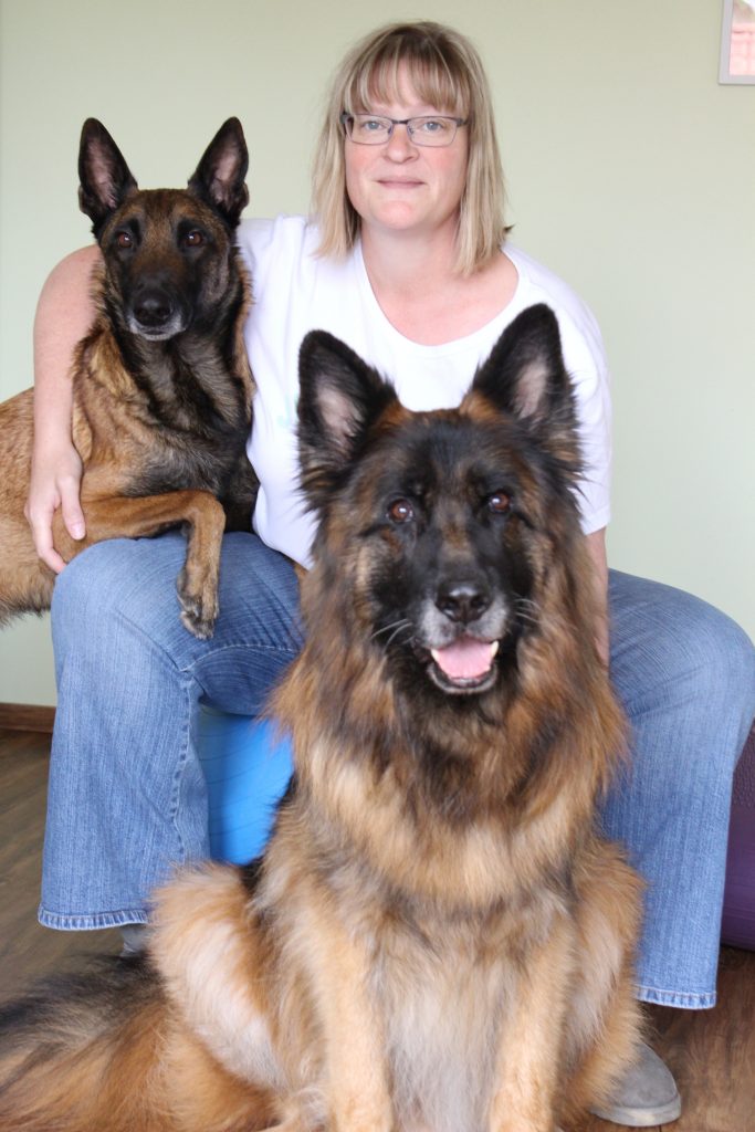 Tierphysiotherapie für Hunde in Wirscheid
