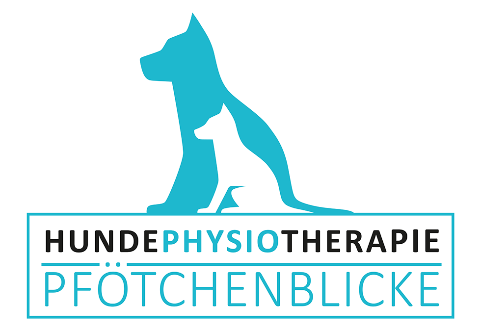 Tierphysiotherapie Pfötchenblicke für Hunde Groß-Umstadt