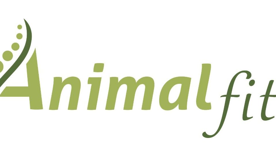 Logo Animal fit - Jeannine Fehrenbacher