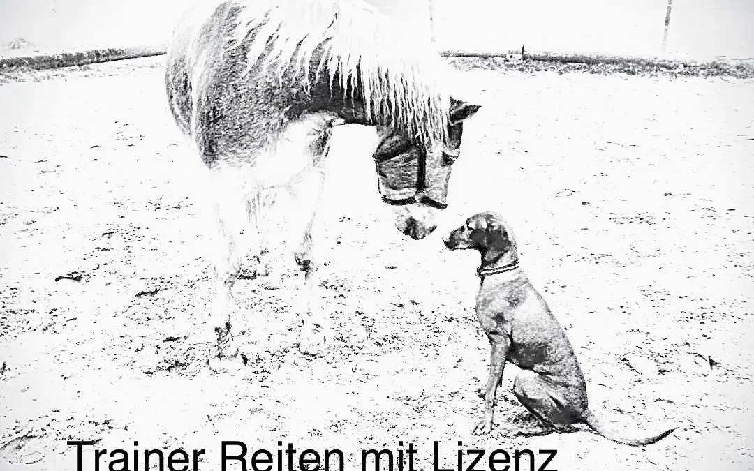 111 Manja Eisele Logo