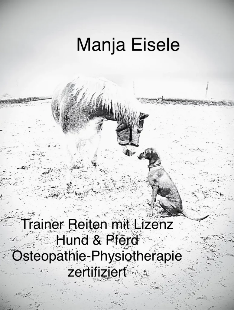 111 Manja Eisele Logo