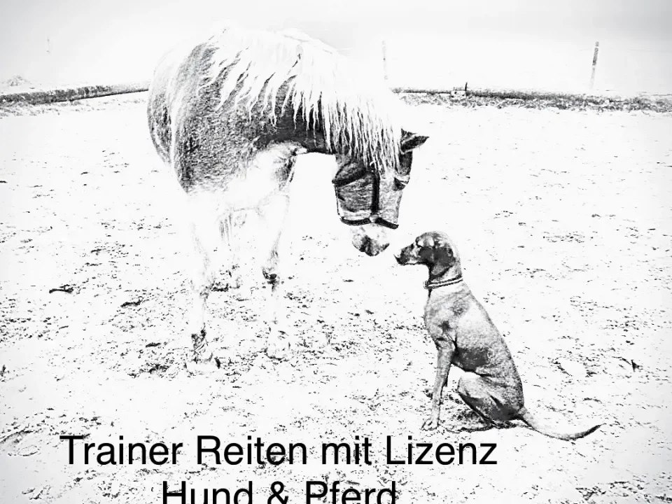 111 Manja Eisele Logo