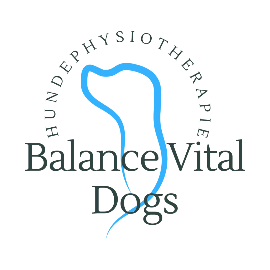 297 Nicole Stolte Logo