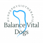 297 Nicole Stolte Logo