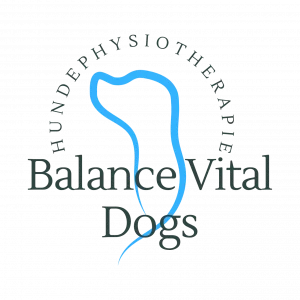 297 Nicole Stolte Logo 297 Nicole Stolte Logo