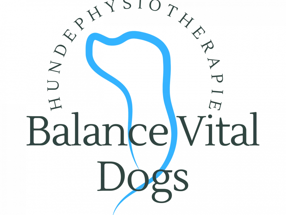 297 Nicole Stolte Logo