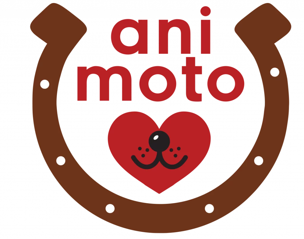 Logo ani moto Tierphysiotherapie & Tierheilpraktik Irene Unger