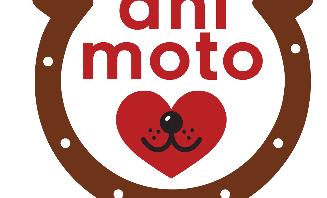 Logo ani moto Tierphysiotherapie & Tierheilpraktik Irene Unger