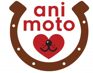 347 Irene Unger Logo Logo ani moto Tierphysiotherapie & Tierheilpraktik Irene Unger
