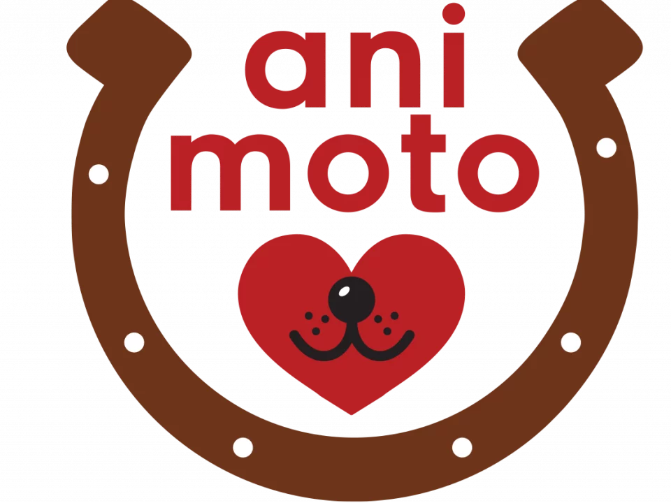 Logo ani moto Tierphysiotherapie & Tierheilpraktik Irene Unger