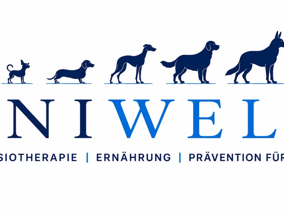 Logo AniWell Physiotherapie, Ernährung, Prävention für Tiere